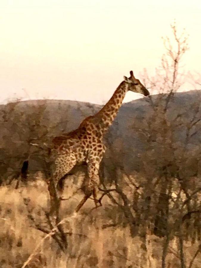 Kuwisa Lodge Bela-Bela Eksteriør bilde